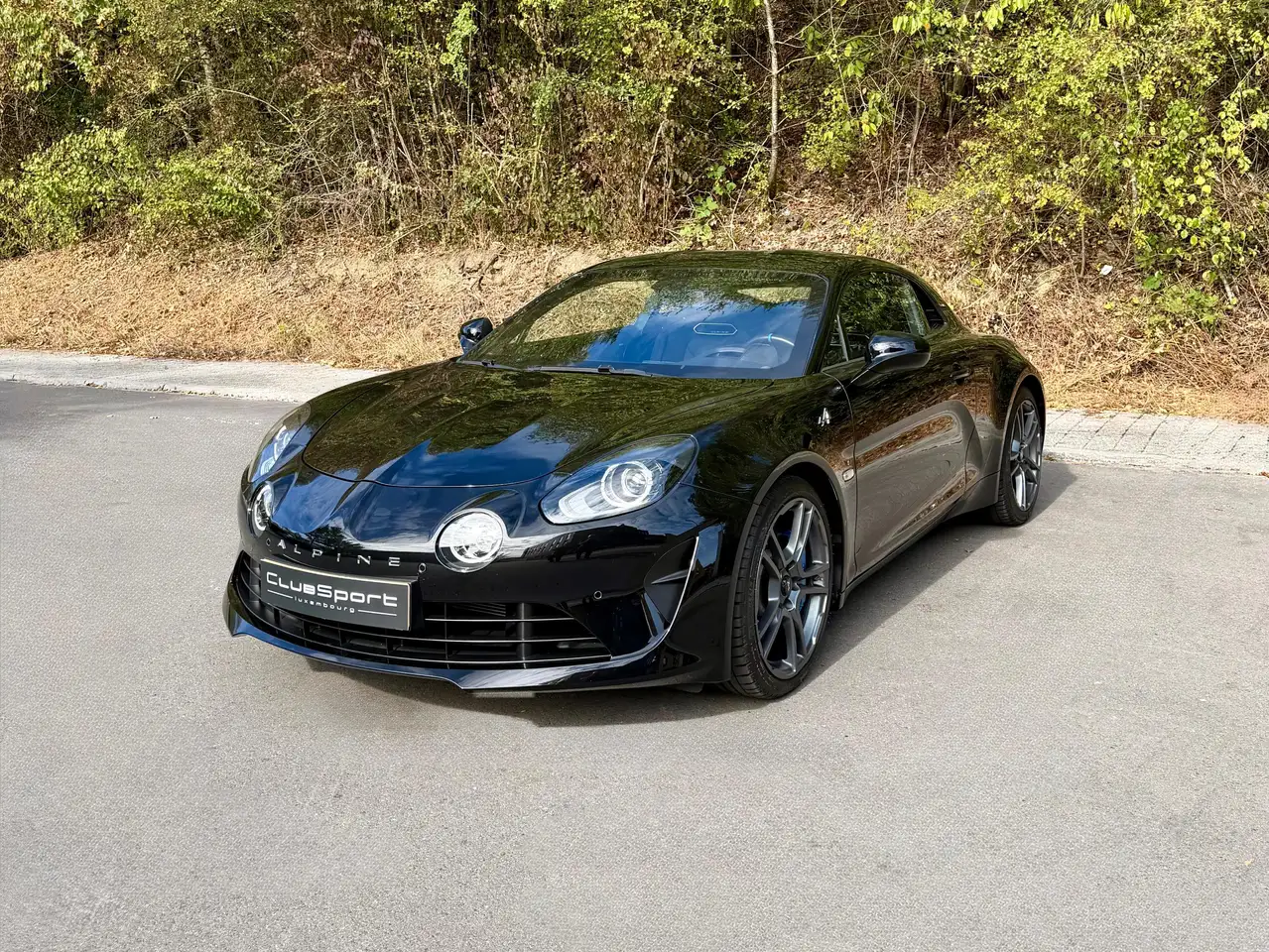 Alpine A110