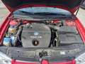 Volkswagen Golf Cool TDI Rot - thumbnail 13