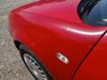 Volkswagen Golf Cool TDI Rot - thumbnail 14