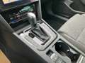 Volkswagen Passat Variant Business TDI DSG Grau - thumbnail 18