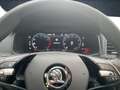Skoda Karoq Style 1.5 TSI R-KAMERA NAVI LED SHZ PDC Grau - thumbnail 11
