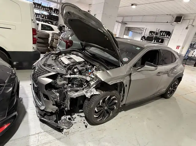 Lexus UX 250h 2.0 HYBRID 184 CV LUXURY
