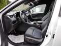 Toyota RAV 4 2.5 Hybrid Style SHZ NAVI ACC LED 360° Blanc - thumbnail 12