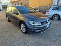 Volkswagen Golf Variant Golf Variant 1.6 tdi Business 116cv FY092GN Grigio - thumbnail 4