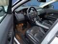 Land Rover Range Rover Evoque TD4 2.0D Euro6b 90.000km 1eigenaar 12mand Garantie Blanc - thumbnail 10
