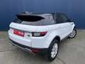 Land Rover Range Rover Evoque TD4 2.0D Euro6b 90.000km 1eigenaar 12mand Garantie Wit - thumbnail 4