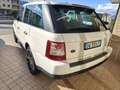 Land Rover Range Rover Sport Range Rover Sport I 2005 3.6 tdV8 HSE auto Blanc - thumbnail 8