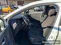 Renault Captur Limited TCe 90 Radio-USB/Tempomat/GJR Weiß - thumbnail 5