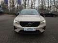 Volvo XC40 B3 B DKG Plus Dark H&K Sound WKR LED Beige - thumbnail 2