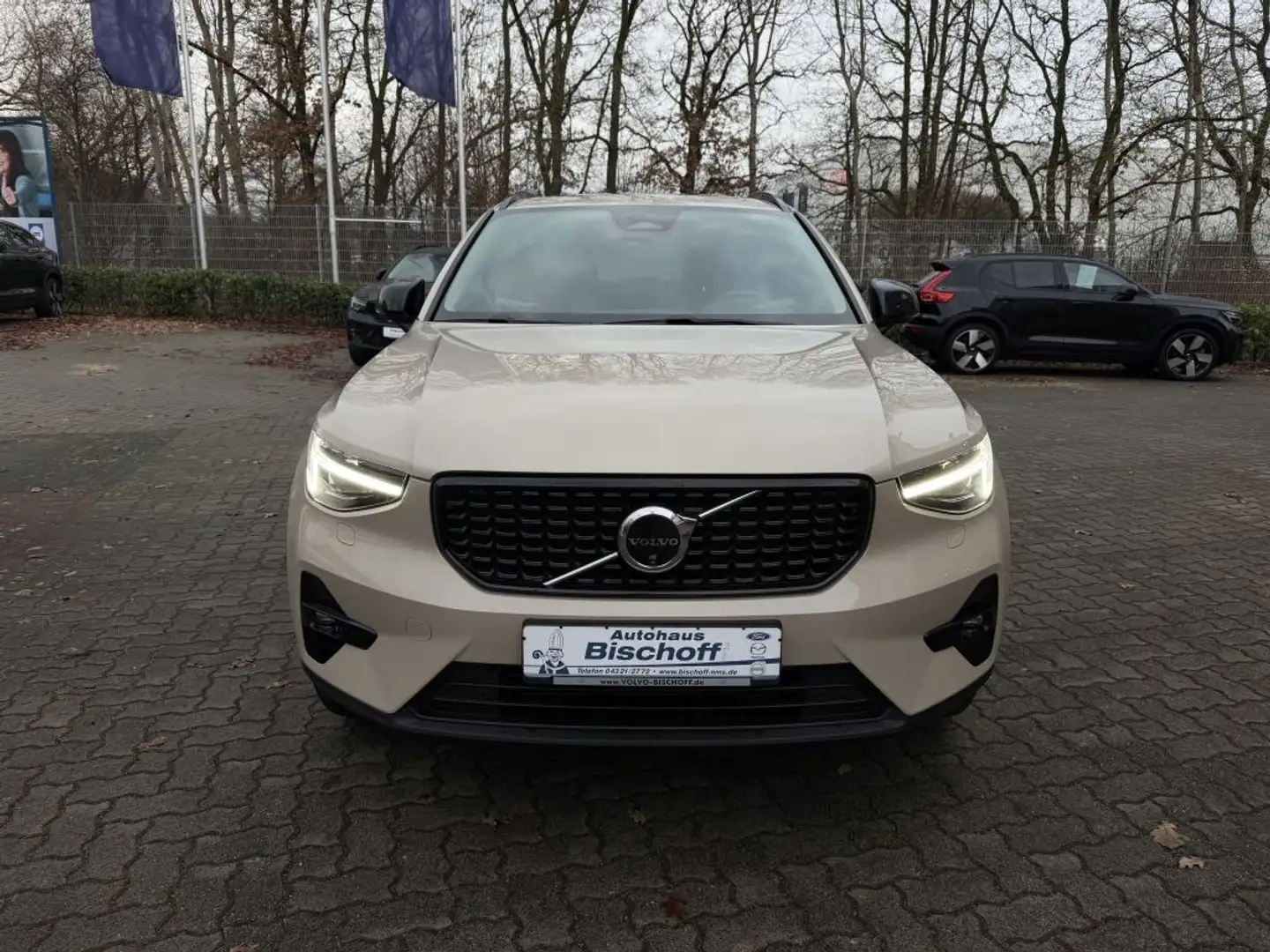 Volvo XC40 B3 B DKG Plus Dark H&K Sound WKR LED Beige - 2