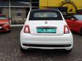 Fiat 500 S / FALTDACH / Sportsitze / Einparkhilfe Sensoren Blanc - thumbnail 8