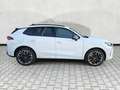 CUPRA Terramar VZ 2.0 TSI DSG 4Drive AHK Pano 20Zoll Weiß - thumbnail 17