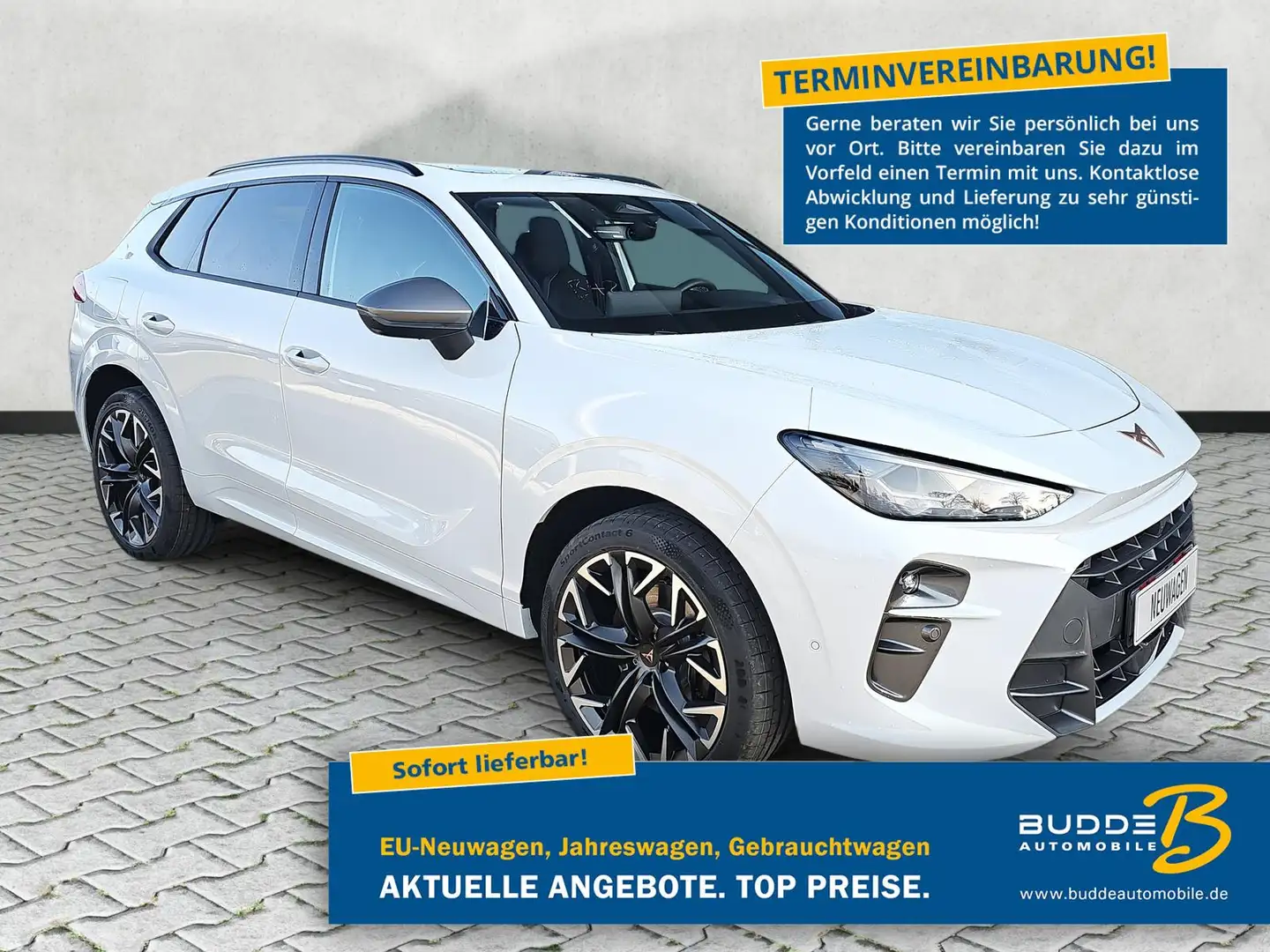 CUPRA Terramar VZ 2.0 TSI DSG 4Drive AHK Pano 20Zoll Weiß - 1