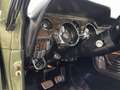 Ford Mustang Fastback Shelby GT 350 Grün - thumbnail 18