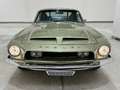 Ford Mustang Fastback Shelby GT 350 Grün - thumbnail 4