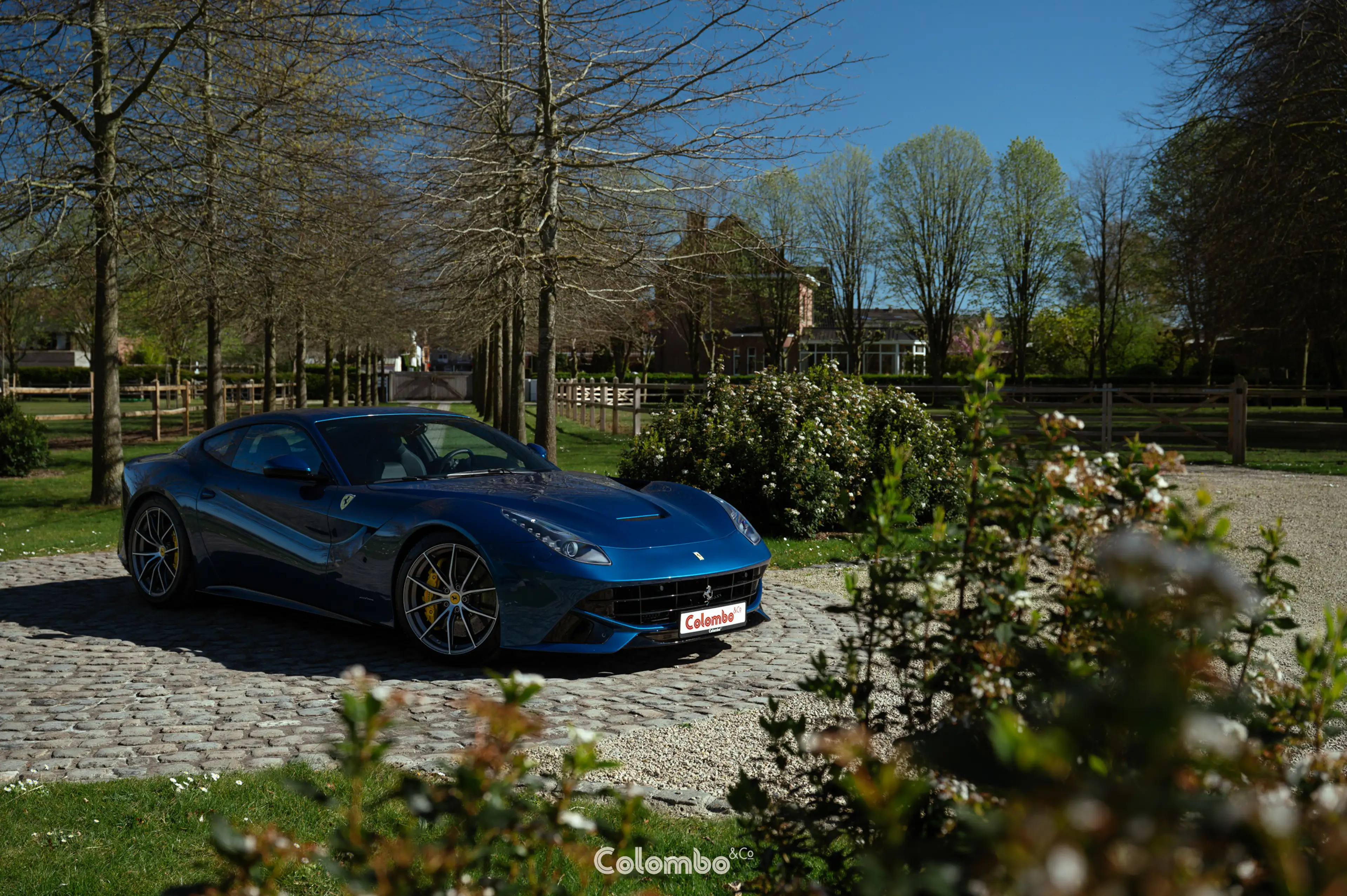 Ferrari F12 Tailor made - Blue Carbon interior trim — photo 14