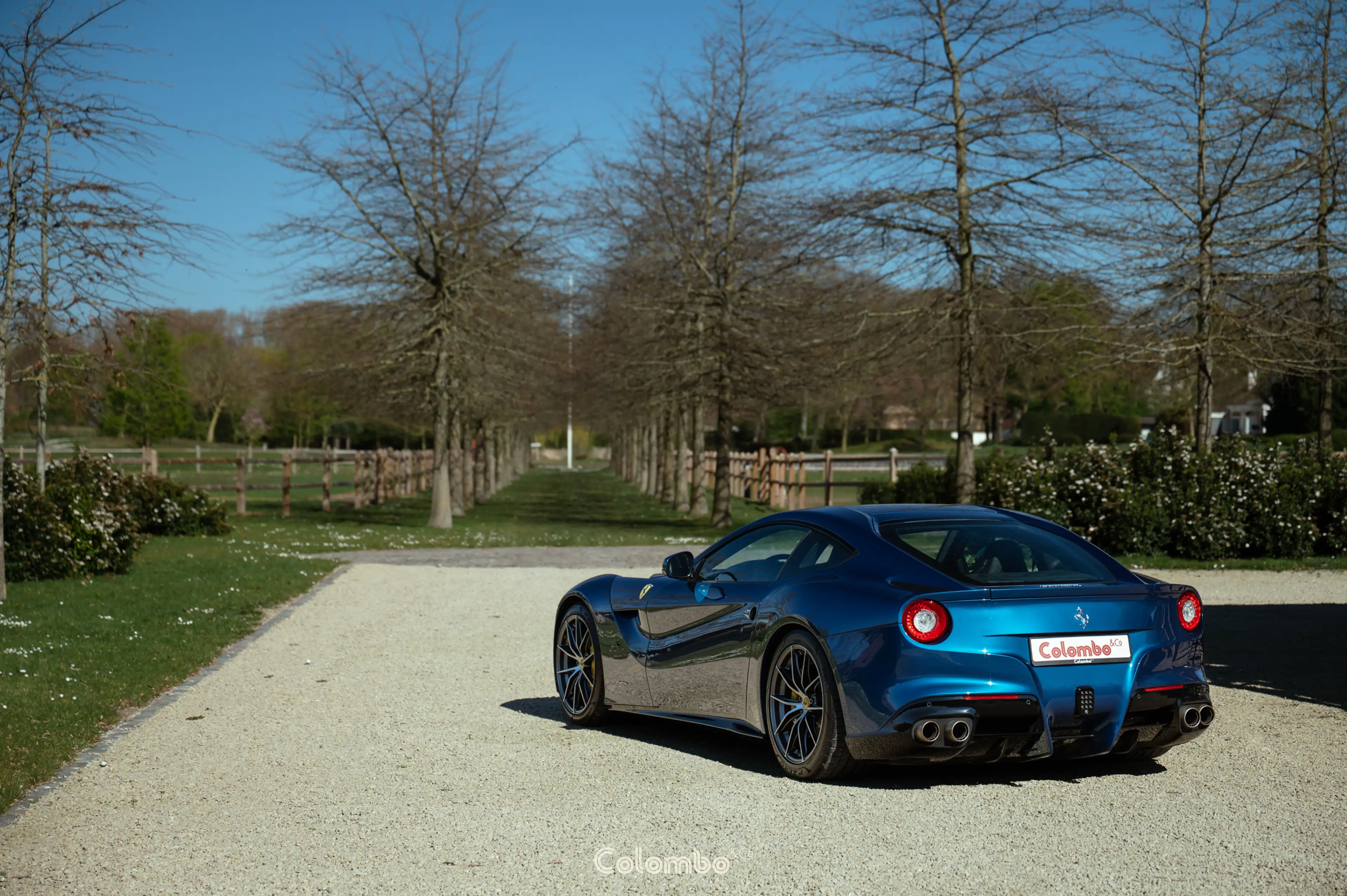 Ferrari F12 Tailor made - Blue Carbon interior trim — photo 15