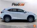 Lexus NX 300 300h Business Navigation 2WD Blanco - thumbnail 9
