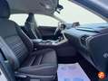 Lexus NX 300 300h Business Navigation 2WD Weiß - thumbnail 19