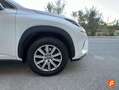 Lexus NX 300 300h Business Navigation 2WD Weiß - thumbnail 23