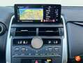 Lexus NX 300 300h Business Navigation 2WD Blanco - thumbnail 15