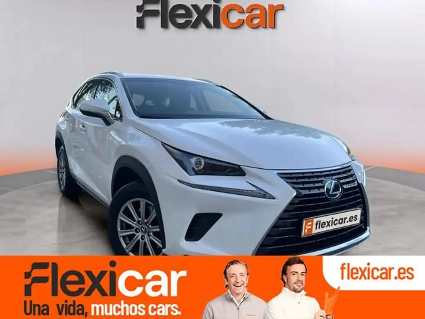 Lexus NX 300 300h Business Navigation 2WD Blanco - 1