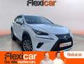 Lexus NX 300 300h Business Navigation 2WD Blanco - thumbnail 1