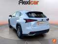 Lexus NX 300 300h Business Navigation 2WD Blanco - thumbnail 5