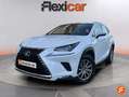 Lexus NX 300 300h Business Navigation 2WD Weiß - thumbnail 3