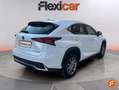 Lexus NX 300 300h Business Navigation 2WD Blanco - thumbnail 8