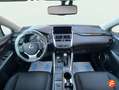 Lexus NX 300 300h Business Navigation 2WD Weiß - thumbnail 11