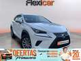 Lexus NX 300 300h Business Navigation 2WD Weiß - thumbnail 1