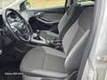 Ford Focus 1.0 EcoBoost Trend 1e eigenaar airco cruis control Gris - thumbnail 16