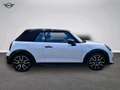 MINI Cooper S Cabrio MINI Cooper S Cabrio Weiß - thumbnail 2