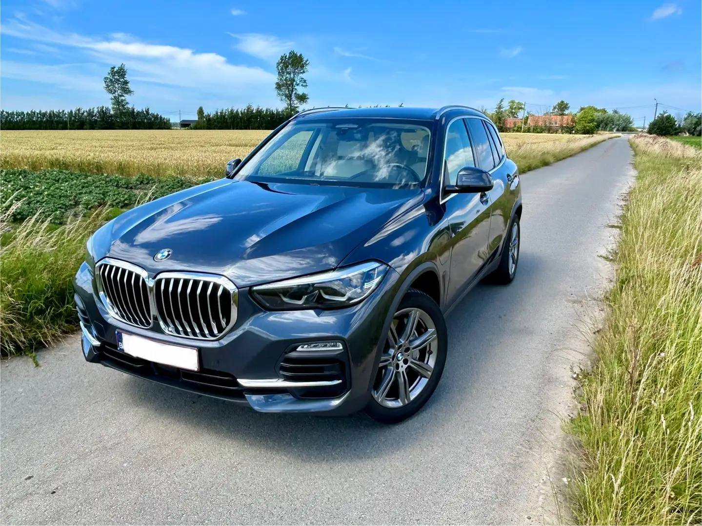 BMW X5 xDrive45e xLine Gris - 1