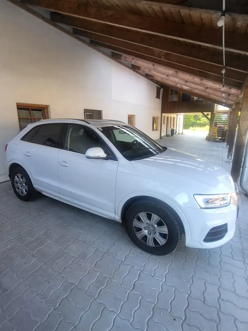 Audi Q3 2,0 TDI Sport Weiß - 1