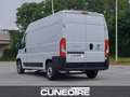 Fiat Ducato Ducato 30 2.3 MJT 120CV PM-TM Furgone Wit - thumbnail 4