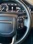 Land Rover Range Rover Evoque 2.0 D150 AWD, ALLRAD Weiß - thumbnail 14