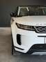 Land Rover Range Rover Evoque 2.0 D150 AWD, ALLRAD Weiß - thumbnail 4