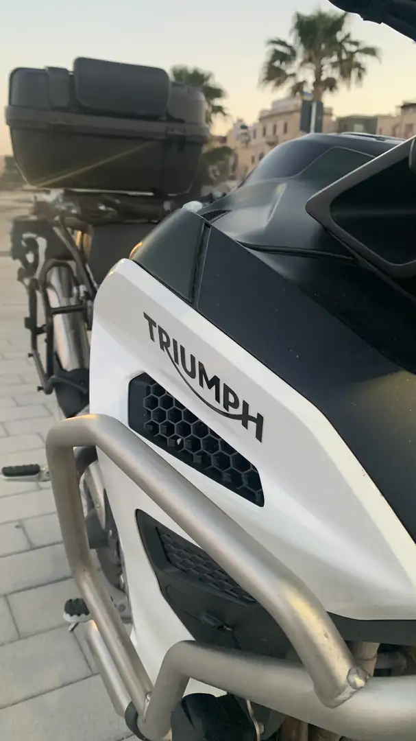Triumph Tiger Explorer tiger 1200 rally explorer - 2