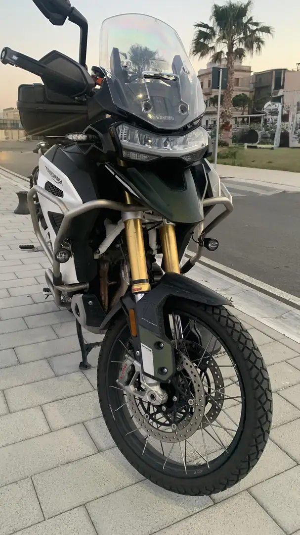 Triumph Tiger Explorer tiger 1200 rally explorer - 1