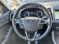 Ford Galaxy 2.0 EcoBlue Rot - thumbnail 19