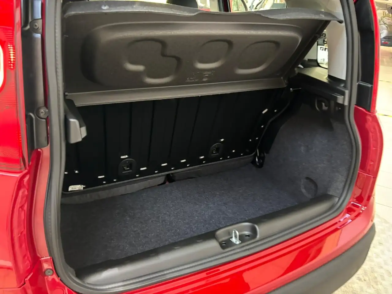 Fiat Panda Pandina 1.0 FireFly 65 CV Hybrid Icon, миниатюра 5