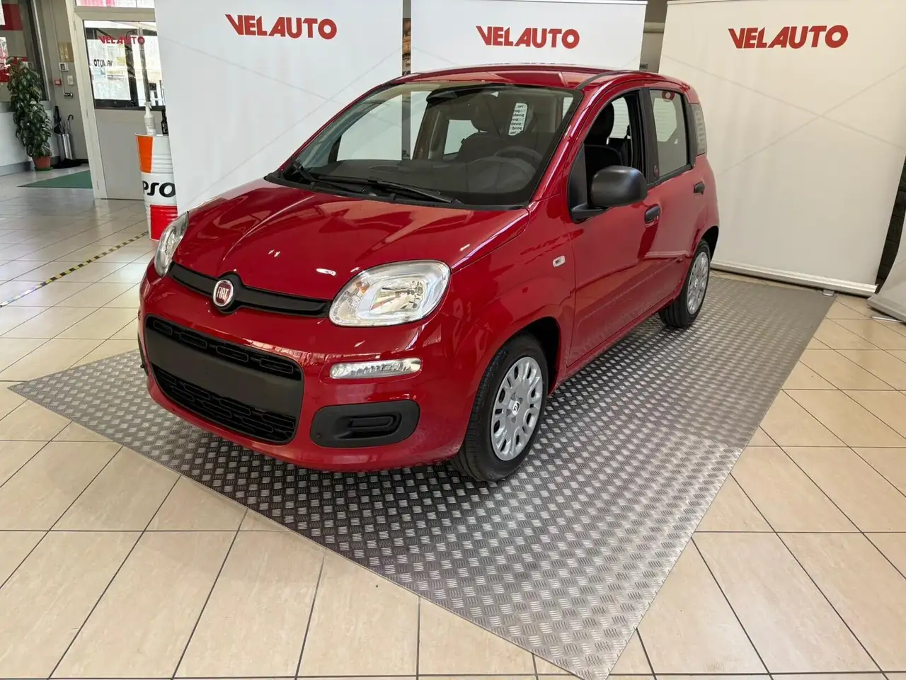 Fiat Panda Pandina 1.0 FireFly 65 CV Hybrid Icon