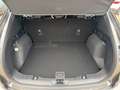 Ford Kuga 2.5 PHEV Plug-In Hybrid ST-Line X |AHK|ACC| Grau - thumbnail 11