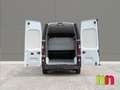 Renault Trafic 2.0DCI 145cv Blanco - thumbnail 12