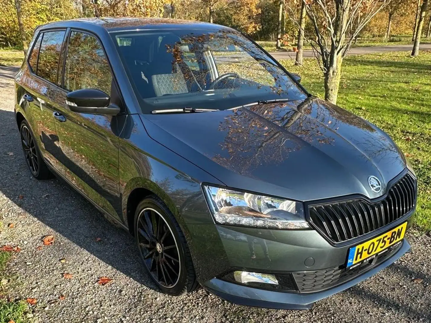 Skoda Fabia 1.0 TSI Monte Carlo Ned. Auto Grijs - 2