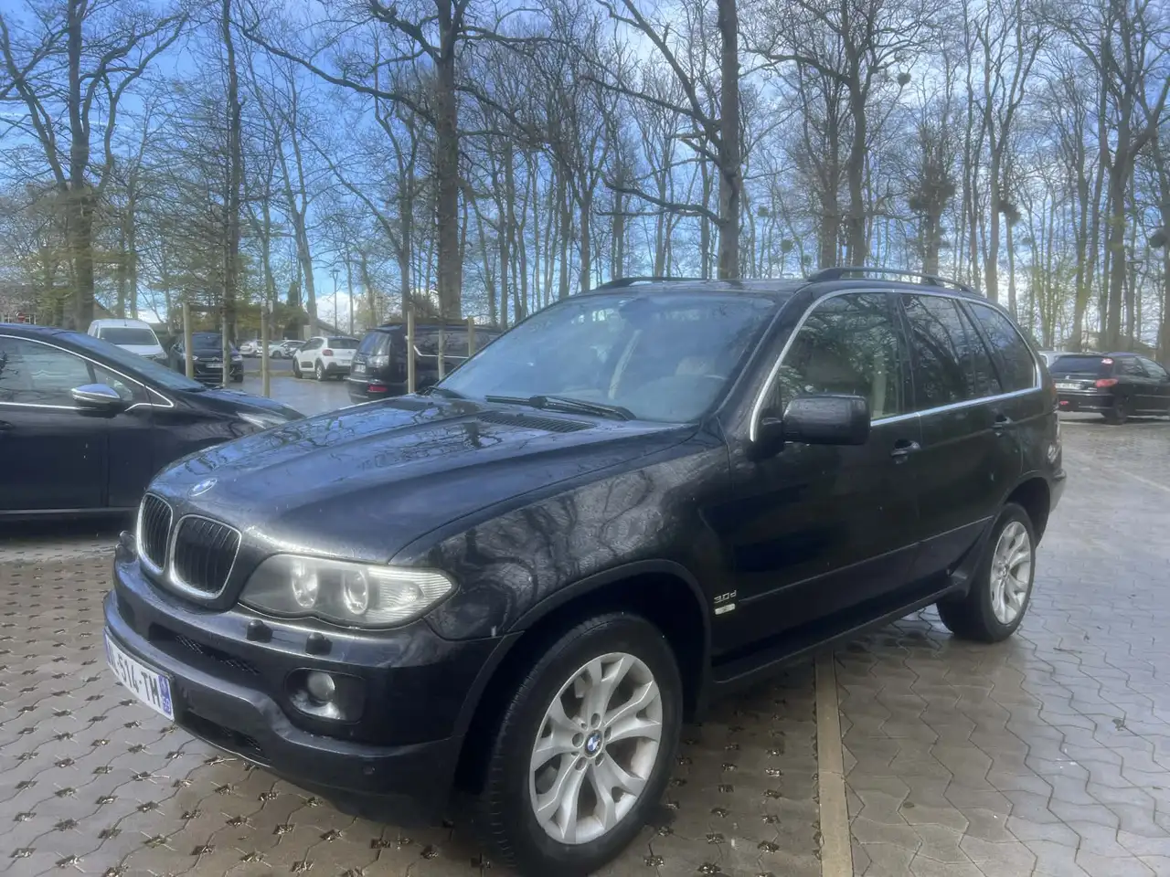 Bmw X5 3.0d Pack Luxe A