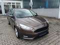 Ford Focus Business Bronze - thumbnail 1