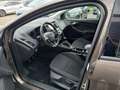 Ford Focus Business Bronze - thumbnail 5